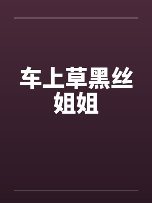 车上草黑丝姐姐