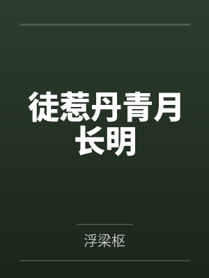 徒惹丹青月长明